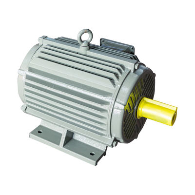 Moteur à induction de cage d'écureuil d'Electrico 380v haute tension de 3 phases