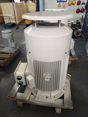 Bas moteur asynchrone du moteur 380v IE4 de cage d'écureuil de tension d'OEM