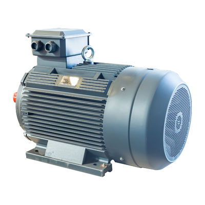 Moteur à induction de cage d'écureuil de basse tension à C.A. 400v triphasé