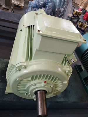 moteur à courant alternatif triphasé asynchrone de cage d'écureuil de moteur électrique de la fonte 18.5kw